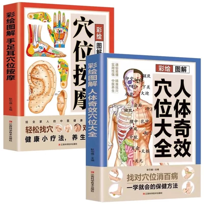 Complete Guide to Acupoint Massage & Traditional Chinese Medicine Health Preservation Therapy - Therapeutic Healing Book