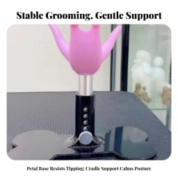 Additional product view