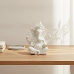 Additional product view