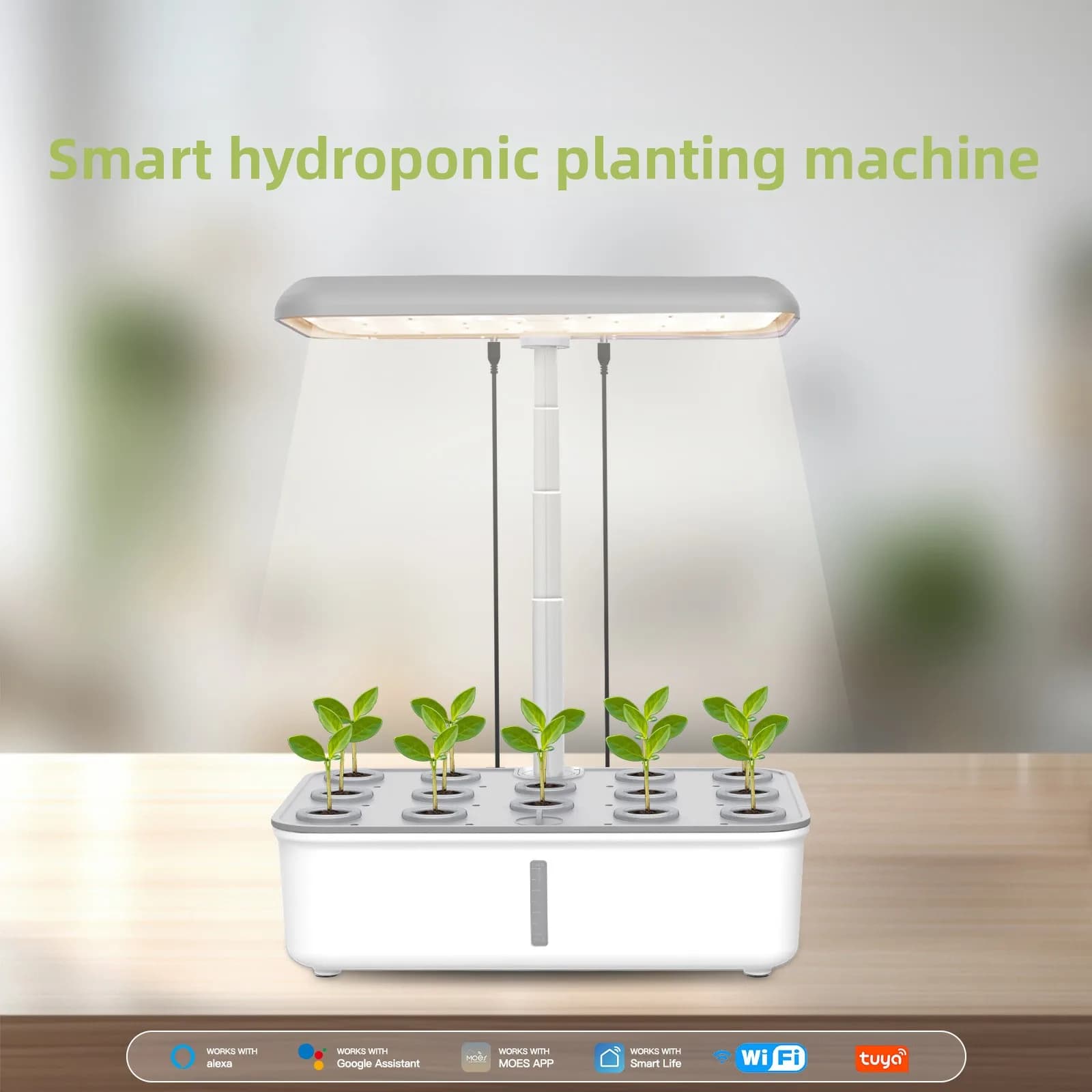 Graffiti Smart Home WiFi Plant Growth Machine Garden Hydroponics App Remote Timing LED Fill Light Hydroponics Planting